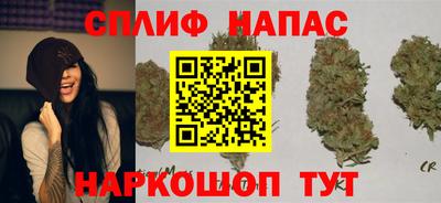 ПСИЛОЦИБИНОВЫЕ ГРИБЫ Будённовск