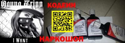 индика Пенза